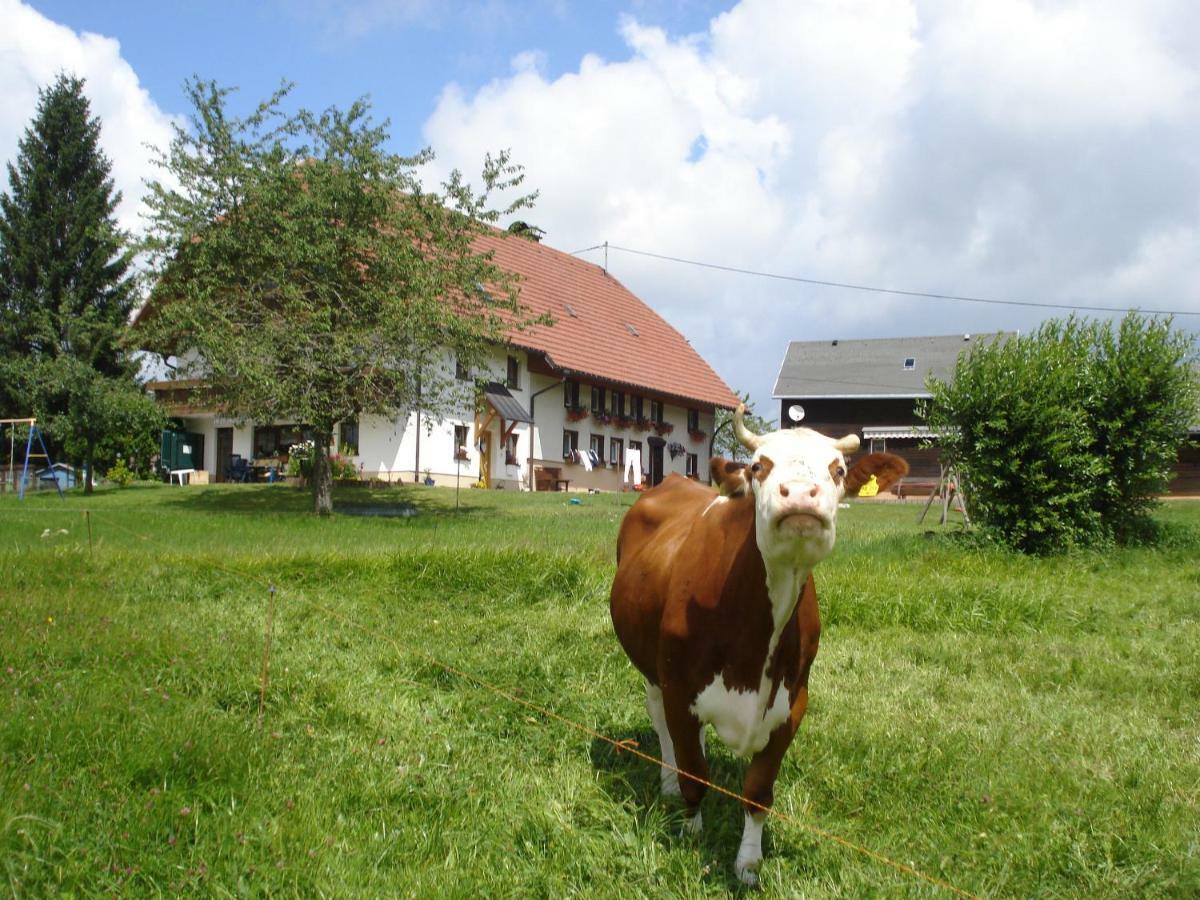 브라이트나우 Ferienhaus Ehinger 아파트 외부 사진